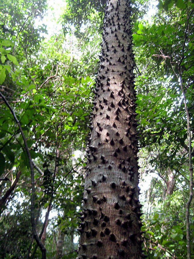 Nature Can Be Scary (25 pics)
