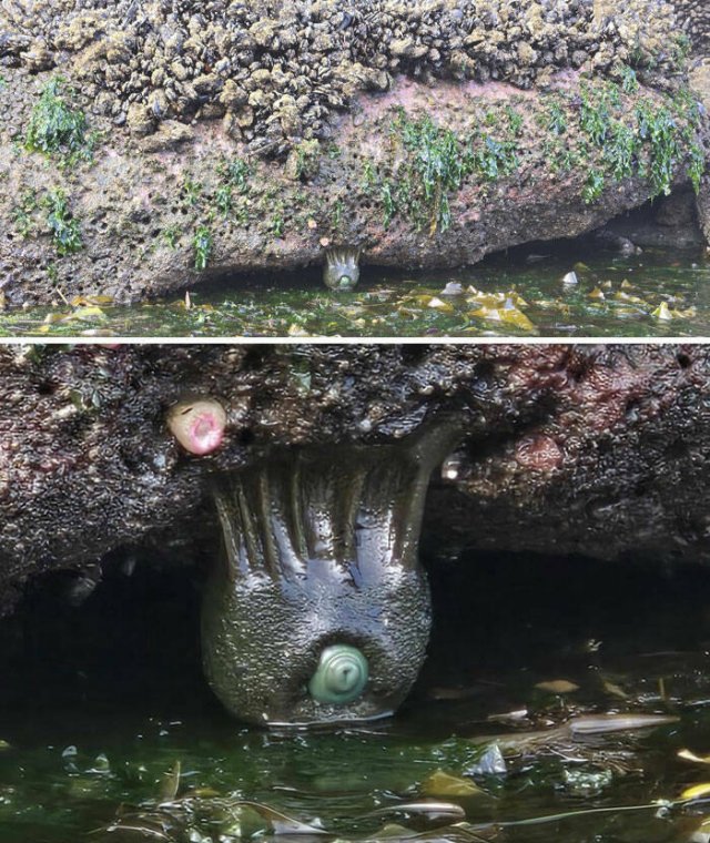 Nature Can Be Scary (25 pics)