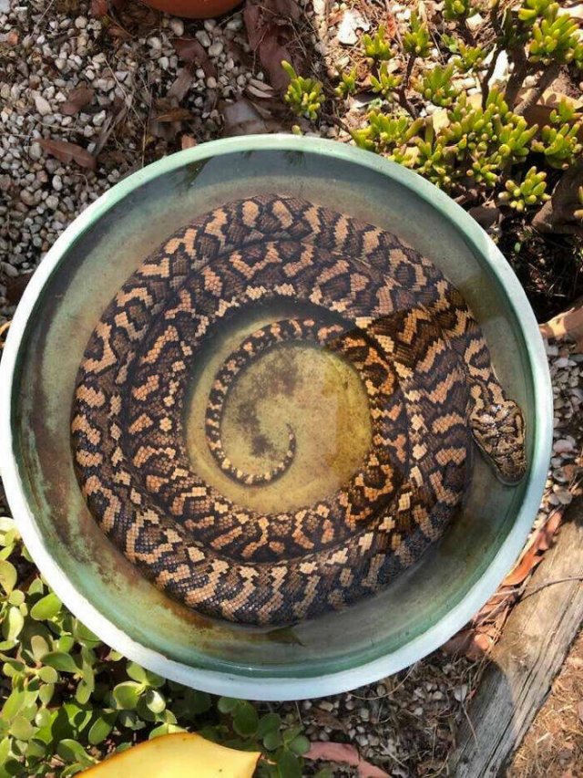 Nature Can Be Scary (25 pics)