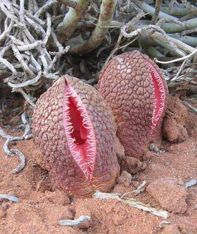 Nature Can Be Scary (25 pics)