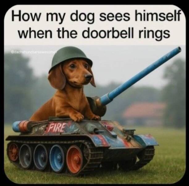 Truthful Jokes (17 pics)
