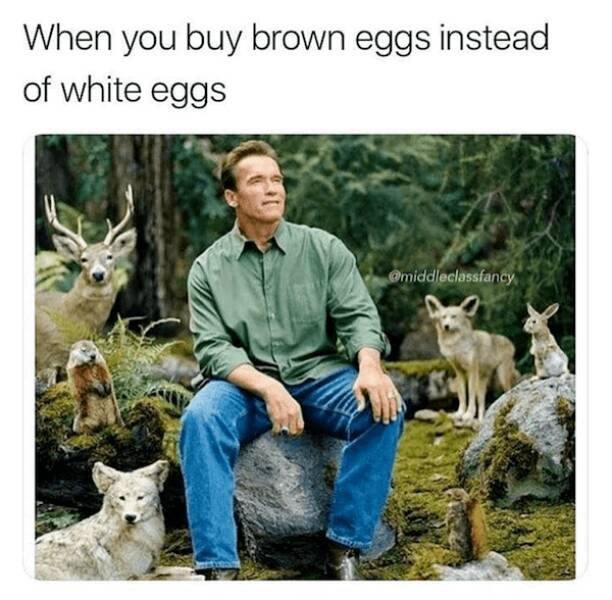 Truthful Jokes (17 pics)