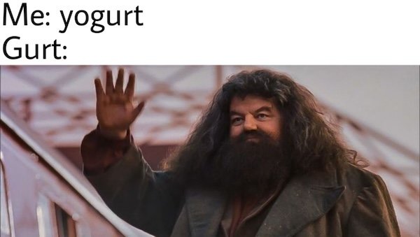 Memes For Harry Potter Fans (28 pics)