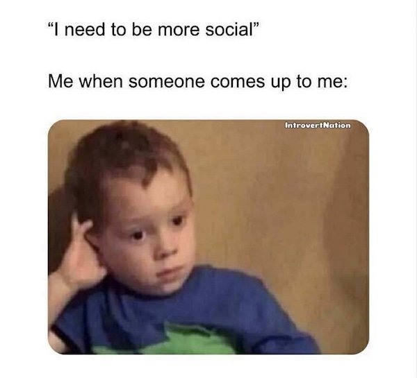 Memes For Introverts (22 pics)
