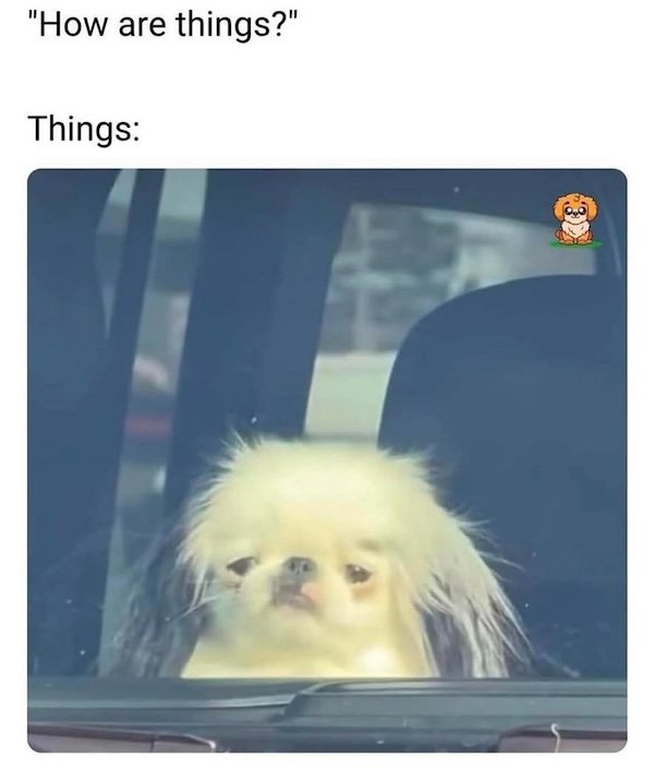 Memes For Introverts (22 pics)