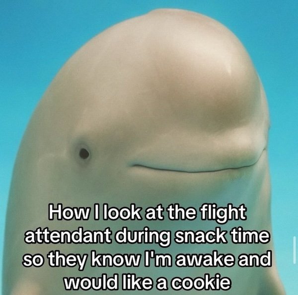 Memes For Introverts (22 pics)