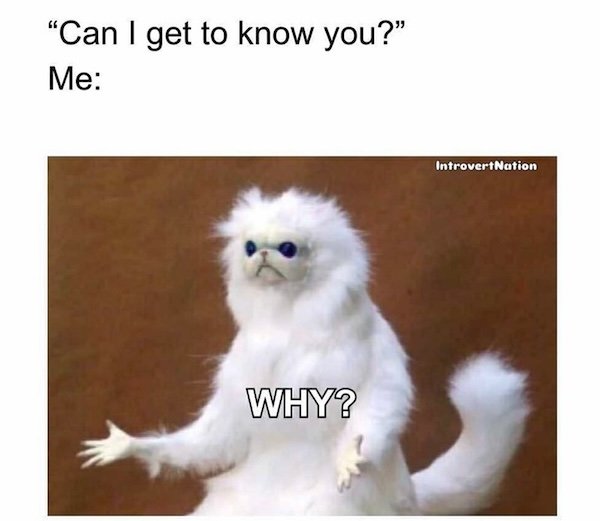 Memes For Introverts (22 pics)