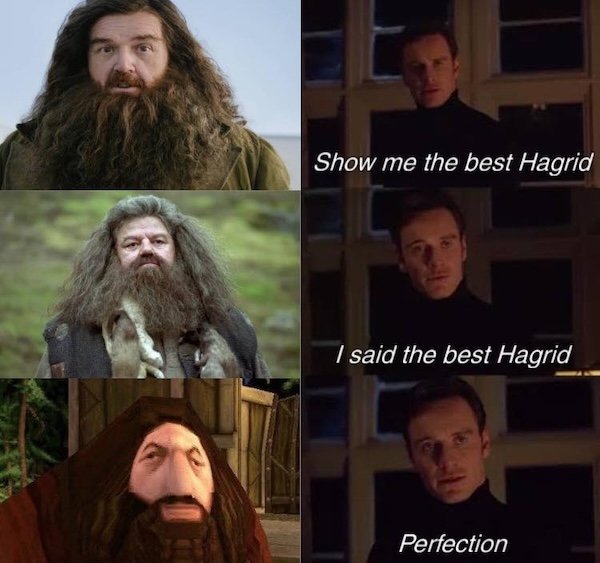Memes For Harry Potter Fans (28 pics)