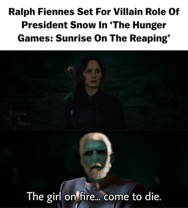 Memes For Harry Potter Fans (28 pics)