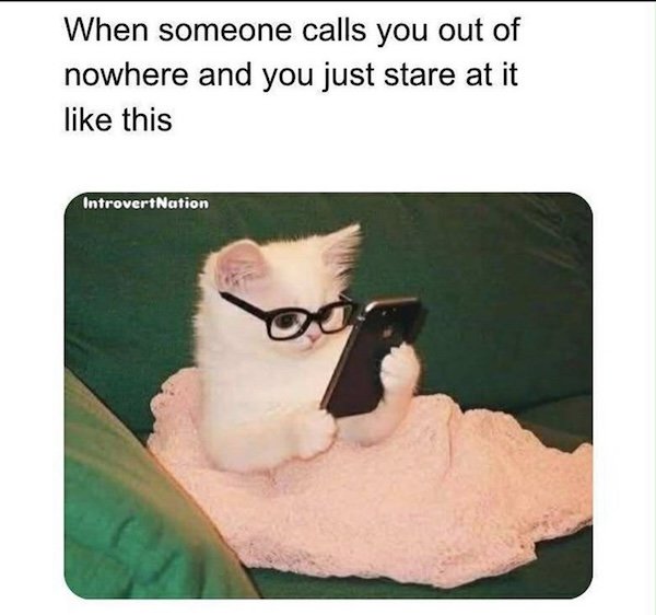 Memes For Introverts (22 pics)