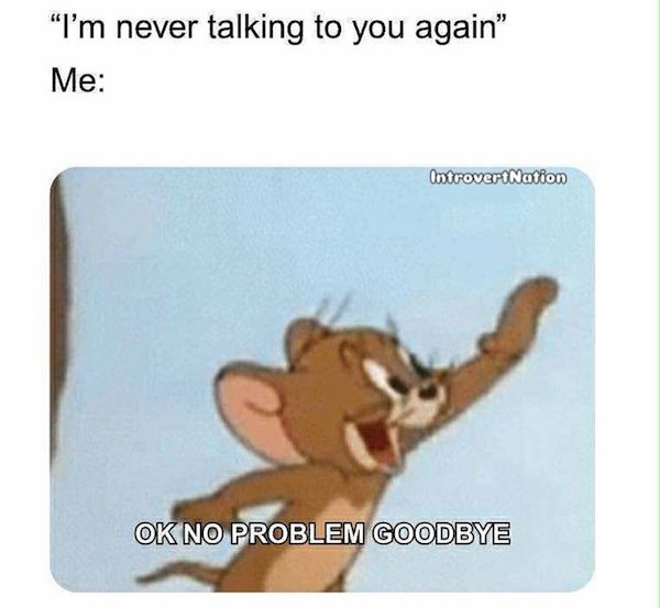 Memes For Introverts (22 pics)