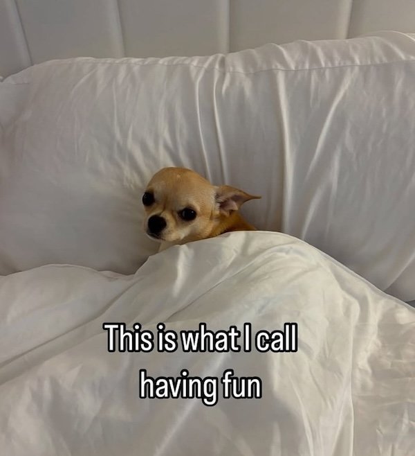 Memes For Introverts (22 pics)