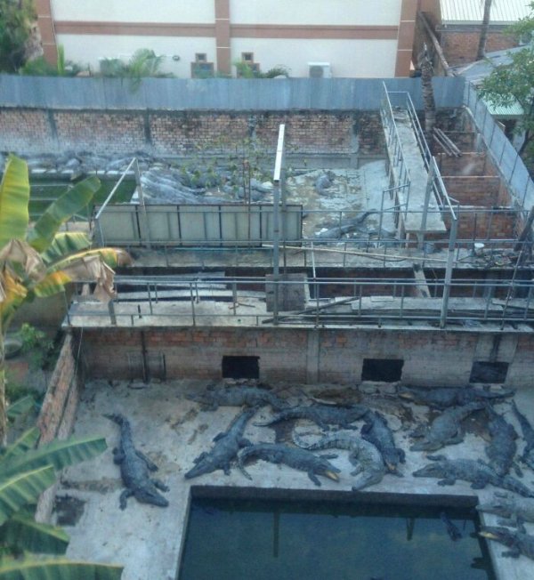 Weird Finds In Hotels (28 pics)