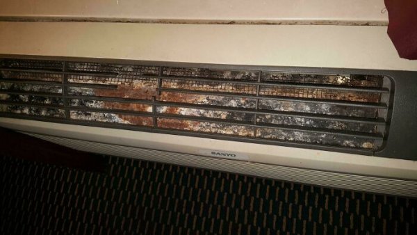 Weird Finds In Hotels (28 pics)