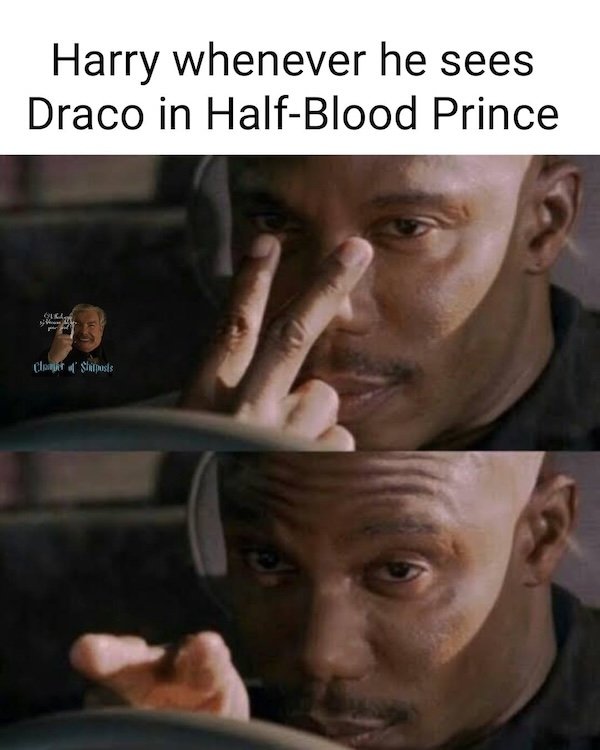 Memes For Harry Potter Fans (28 pics)