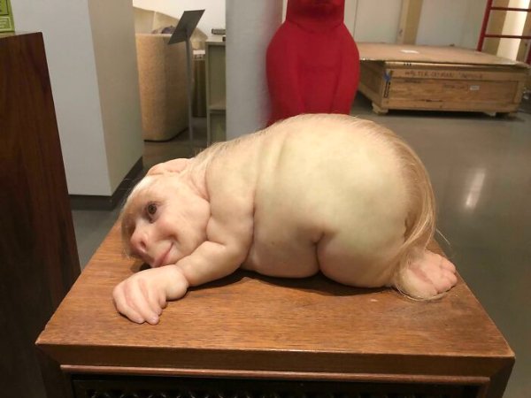 Weird Finds In Hotels (28 pics)