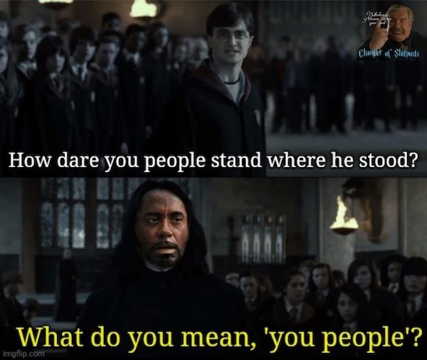 Memes For Harry Potter Fans (28 pics)