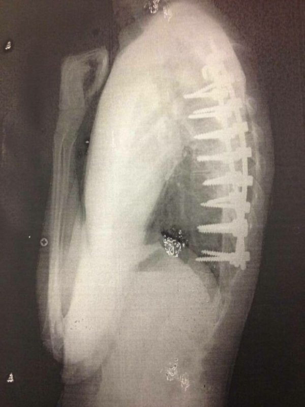 Fascinating Medical Photos (25 pics)
