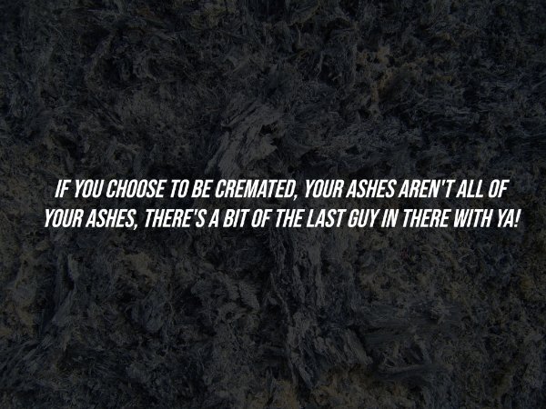 Creepy Facts (15 pics)