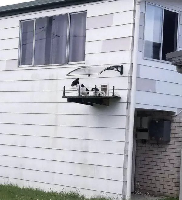 What Is Going On Here? (31 pics)