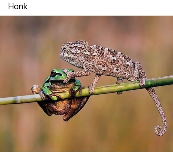 Funny Memes (34 pics)