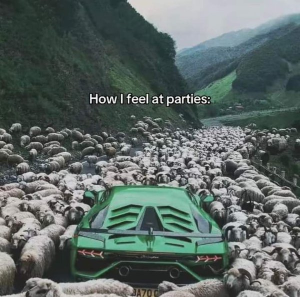 Memes For Introverts (24 pics)