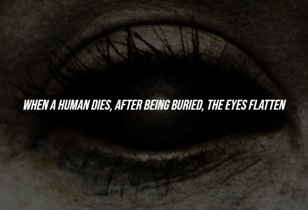 Creepy Facts (15 pics)