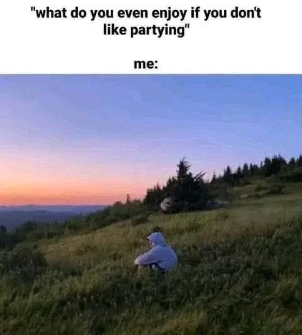 Memes For Introverts (24 pics)