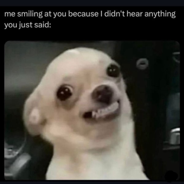Random Memes (25 pics)