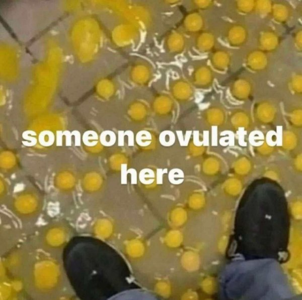 Random Memes (25 pics)