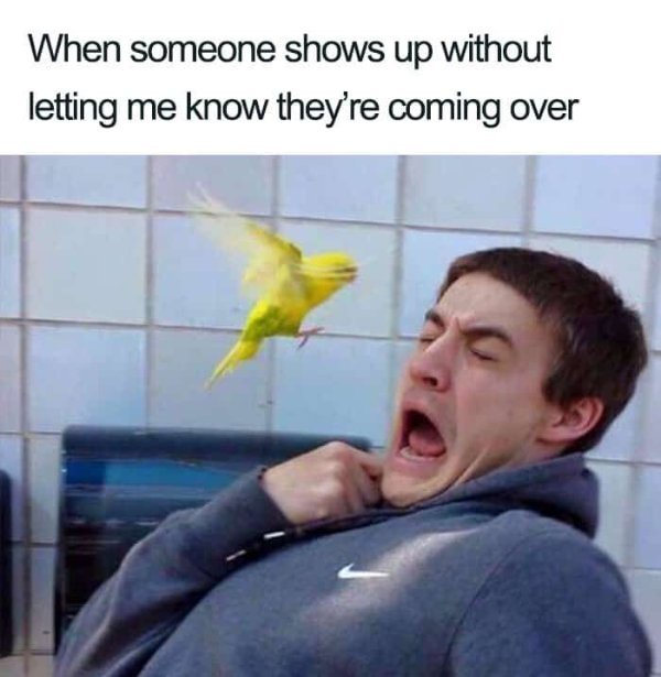 Memes For Introverts (24 pics)