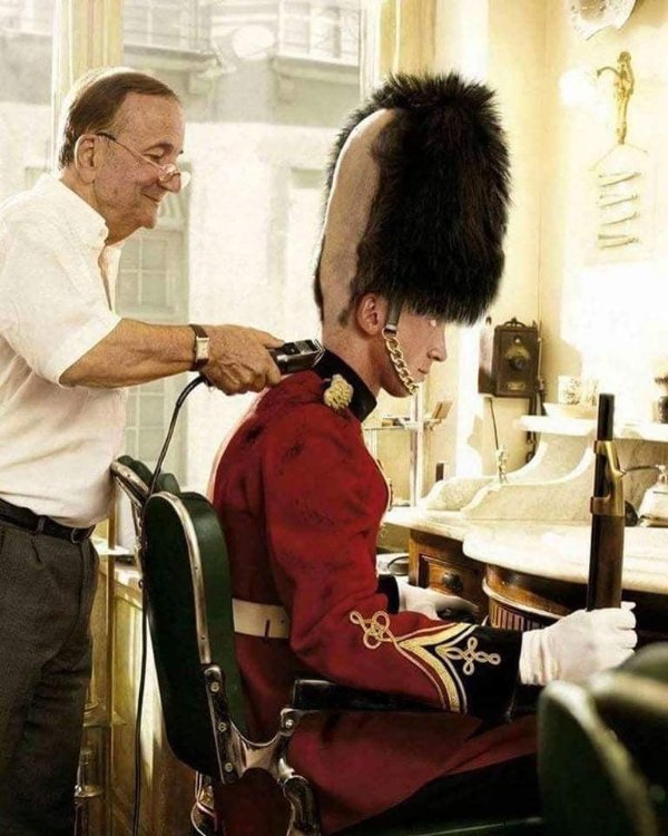 What Is Going On Here? (31 pics)