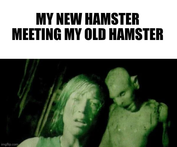 Truthful Memes (25 pics)