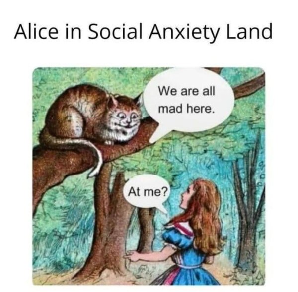 Memes For Introverts (24 pics)