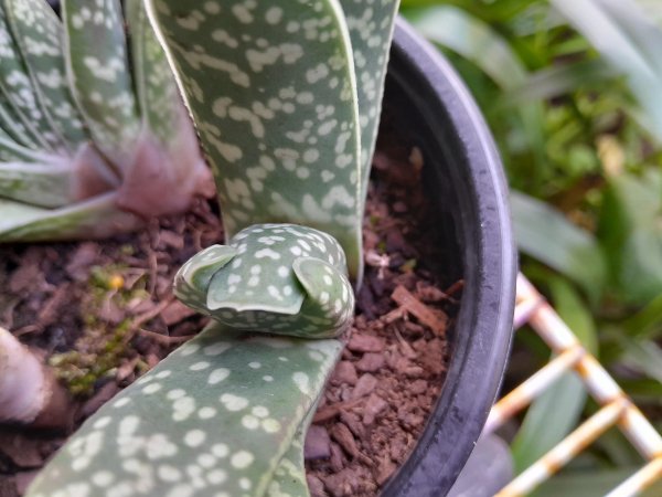 Interesting Finds And Situations (25 pics)
