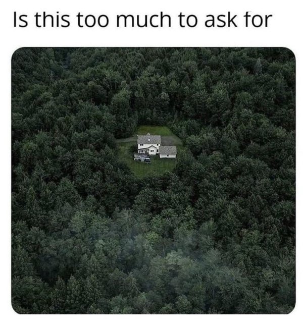 Memes For Introverts (24 pics)