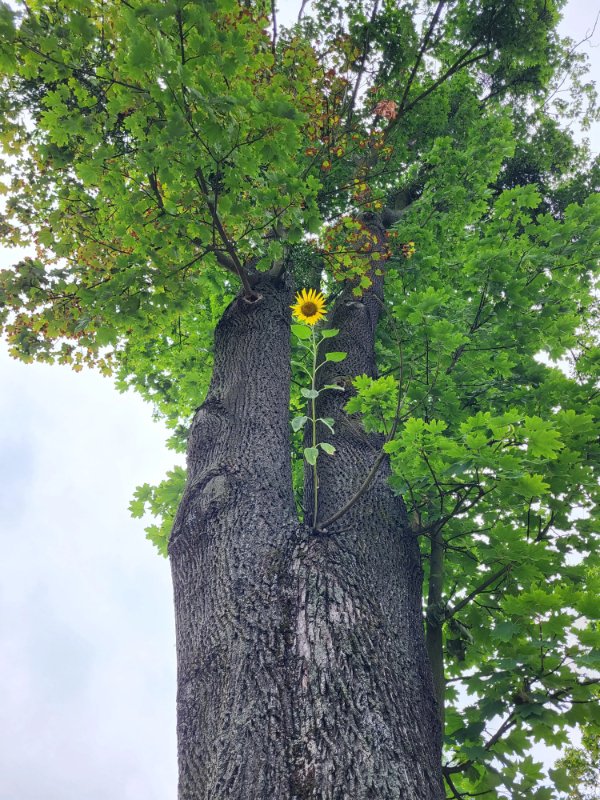Interesting Finds And Situations (25 pics)