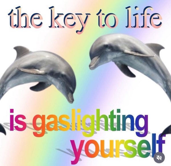Random Memes (25 pics)