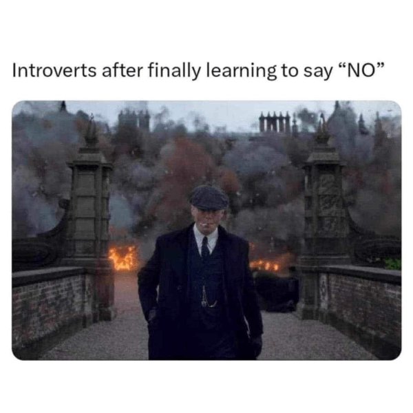 Memes For Introverts (24 pics)