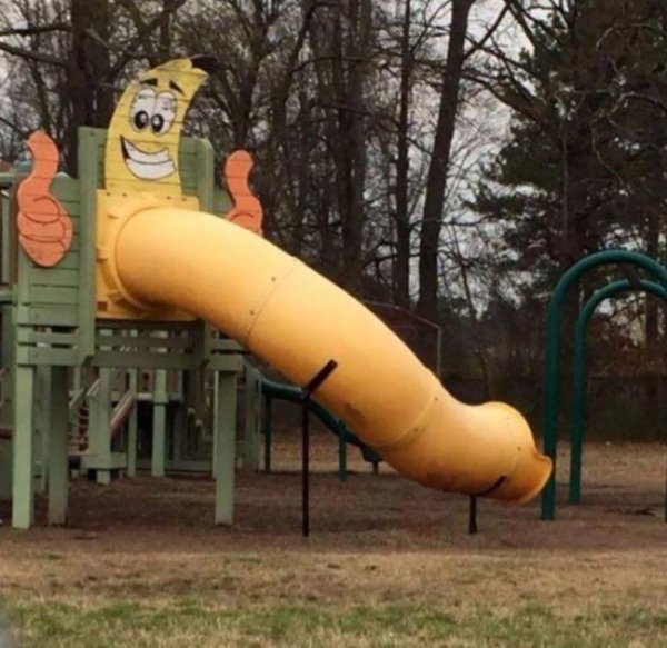What Is Going On Here? (31 pics)