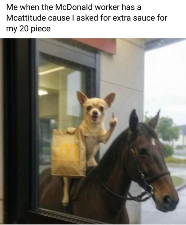 Random Memes (25 pics)