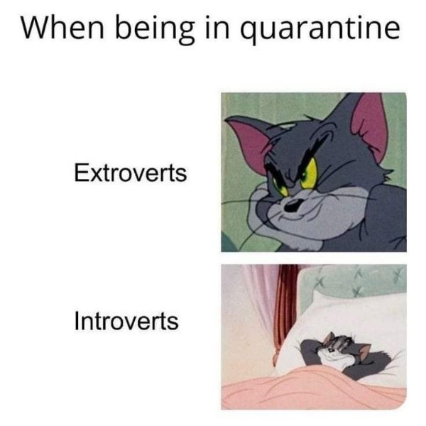 Memes For Introverts (24 pics)