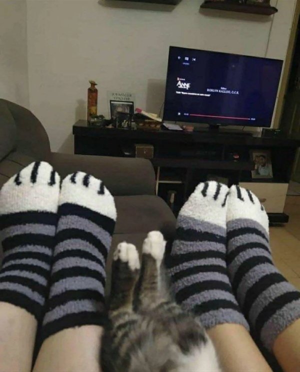 What Is Going On Here? (31 pics)