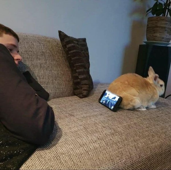What Is Going On Here? (31 pics)