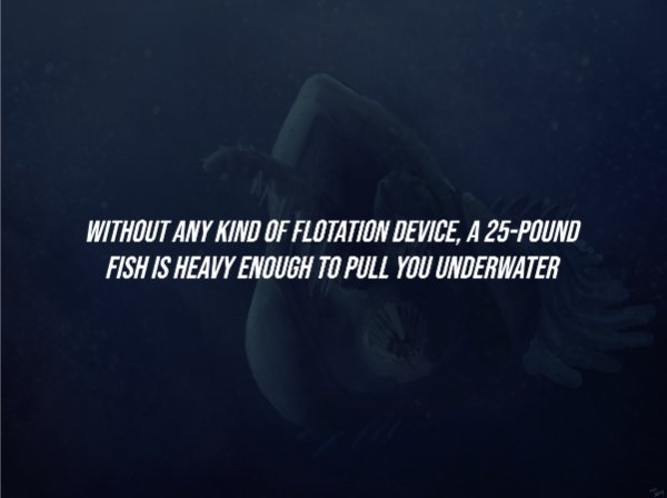 Creepy Facts (15 pics)