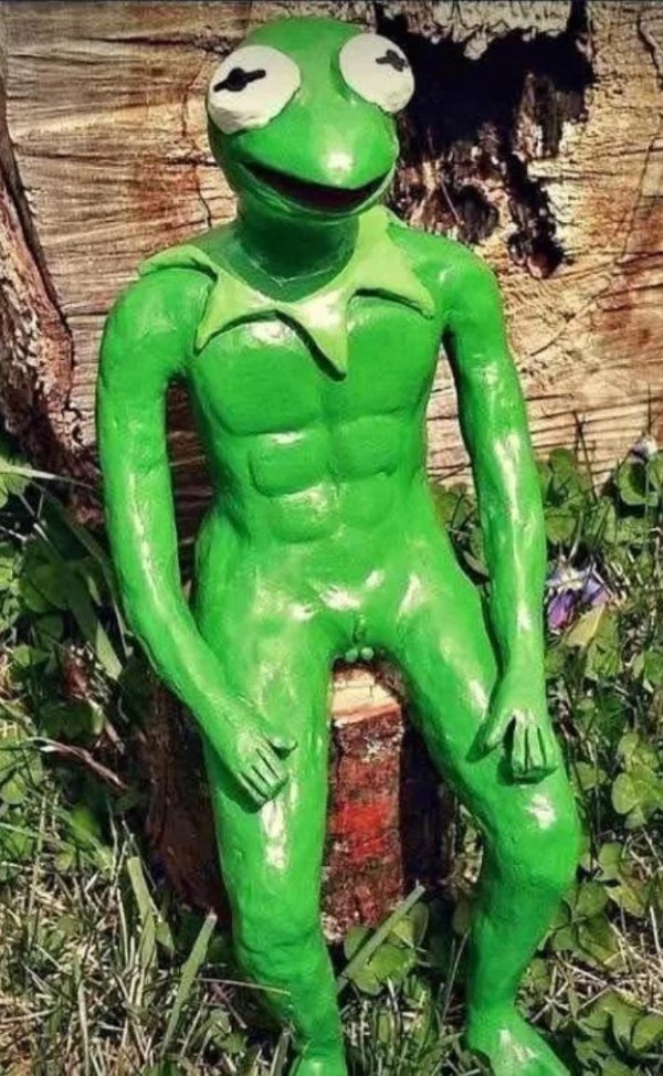 What Is Going On Here? (31 pics)
