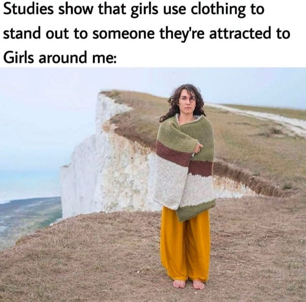 Random Memes (25 pics)