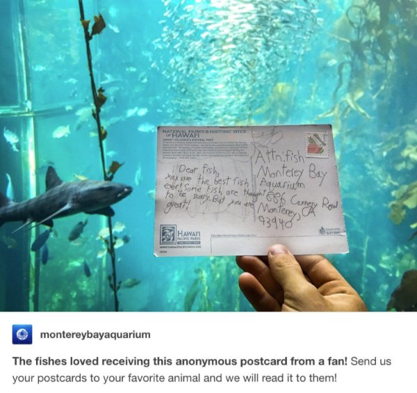 Kind Jokes (30 pics)