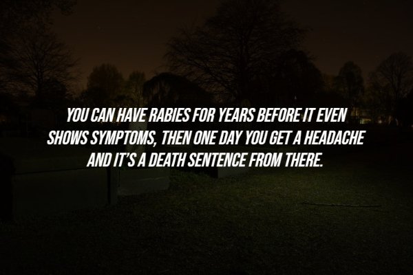 Creepy Facts (15 pics)