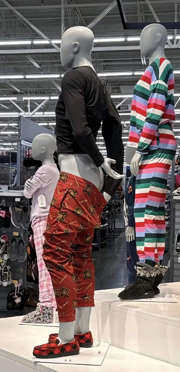 What Is Going On Here? (31 pics)